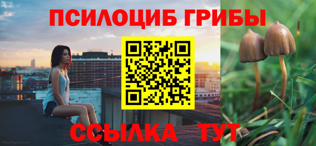 купить  сайты  Вход с VPN  Муравленко  Галлюциногенные грибы MAGIC MUSHROOMS 