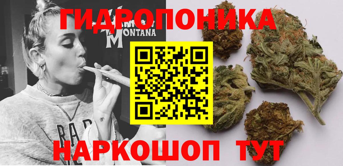 Конопля ГИДРОПОН Муравленко